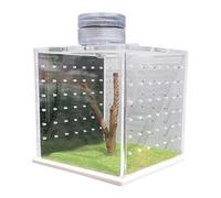 Tanque de reptiles | Tanque de tarántula, pequeño hábitat de mantis religiosa, caja de alimentación de terrario de caracol con humidificador de luz para arañas y otros invertebrados