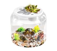 Tanque de Turtle, Turtle transparente, Turtle Tank with Lid, Turtle Terrarium, Tortoise Enclosure, Removable Cover Turtle Tank, Turtle Habitat with Lid, Turtle Terrarium for Most Turtles