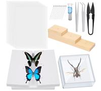 Tanstic Kit de herramientas para muestras de insectos, pinzas de insectos, vitrina de insectos, papel prensado de alas para colección de especímenes (114)