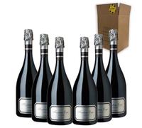 Tantum Ergo Chardonnay - Pinot Noir - Para Disfrutar en Celebraciones y con los Tuyos - Pack 6 Botellas 75cl