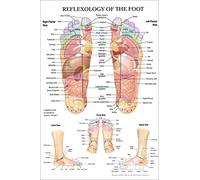 TANYANG Diagrama De Acupuntura De Reflexología Podal, Cuadro Sobre Lienzo Para Anatomía, Póster Impreso, Decoración De Pared Del Hogar 40X60Cm Sin Marco