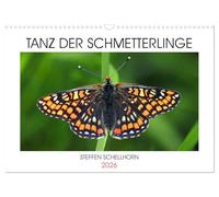 TANZ DER SCHMETTERLINGE (Wandkalender 2026 DIN A3 quer), CALVENDO Monatskalender: Atemberaubende Tagfalterfotos des Fotografen Steffen Schellhorn