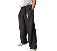 TAO MARTIAL Pantalón Kung Fu Style Tai Chi y Wing Chun Pantalón con Bolsillos Amplios de Viscosa, V3, Negro Tai Ji, M (165-175cm)