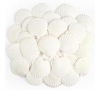 TaoQ C 20 Piezas Conchas Naturales, 6cm - 8cm Blanco Conchas Marinas Naturales Conchas Grandes para Artesanías Bodas decoran Fiestas temáticas de Playa, peceras y Rellenos de jarrones