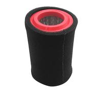 TAOTT - Filtro de aire para motocicleta Atv para filtros de aire Jianshe Loncin de 250 Cc Js250 Atv Quad Parts (color: negro)