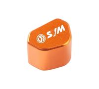 Tapa botón interruptor moto Para JOYRIDES125i 200i 300i RV250 EVO250I DRG158 Tapa De La Llave Del Interruptor Los Intermitentes Motocicleta(L)