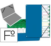 Tapa Clasificador Marrón c/ 9 Departamentos Azul