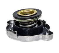 Tapa De Llenado Del Tanque De Expansión Del Refrigerante Del Radiador For Mercedes-benz W140 W124 E320 SL500 190D 190E 260E 300E 300D 1245000406 1295000006
