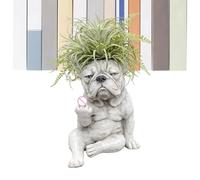 Tapa de maceta en forma de perro | decoración de animales de resina para el hogar | Tapete Bulldog francés - Para alféizar de la ventana, oficina, balcón dormitorio, salón, jardín interior al