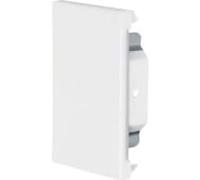 Tapa final BRS 65x100 Acero