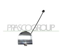 Tapa Gancho De Arrastre Prasco FT0301287 para Fiat