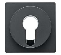 Tapa para interruptor/pulsador de llave de persianas, Q.1/Q.3, ant