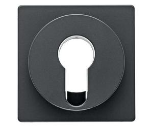 Tapa para interruptor/pulsador de llave de persianas, Q.1/Q.3, ant