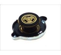 Tapa, radiador BLAU K12 para PORSCHE 924 2 1975-1989