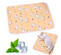 Tapete de enfriamiento para perros, lavable y plegable, tapete de refrigeración para mascotas para perros y gatos, tapete de verano impermeable para perros, resistente a los arañazos, pelo