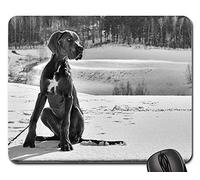 Tapete De Juego, Cachorro Perro Gran Danés Alfombrilla Ratón Antideslizante Mouse Pad Professional Mouse Mat para Ratón Trabajo 25X30Cm