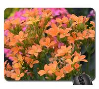 Tapete De Juego, Flores Naranja Kalanchoe Flores Eran Jardín Macizo Alfombrilla Raton Antideslizante Gaming Mouse Pad Ergonómico Mousepad para Laptop Ordenador 25X30Cm