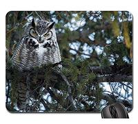 Tapete De Juego, Gran Búho Cornudo Árbol Predator Fauna Silvestre Encaramado Alfombrilla Gaming Antideslizante Alfombrilla Raton Portátil Mouse Pad para Oficina Trabajo 25X30Cm