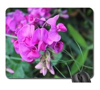 Tapete De Juego, Guisante De Olor Perfumado Plantas Ornamentales Jardín Naturaleza Mouse Pad Antideslizante Alfombrilla Ratón Ergonómico Alfombrilla De Ratón para Juegos para Pc 25X30Cm
