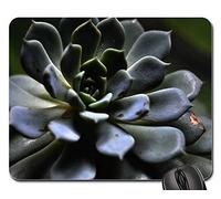 Tapete De Juego, Planta Geometría Sagrada Simetría Jardín Flor Mouse Mat Antideslizante Mouse Pad Ergonómico Mousepad para Ordenador Jugadore 25X30Cm