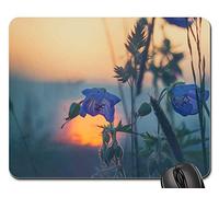 Tapete De Juego, Prado Hierbas Atardecer Naturaleza Brizna De Hierba Hierba Mousepad Antideslizante Mouse Pad Professional Mouse Mat para Pc Jugadore 25X30Cm