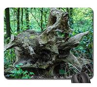 Tapete De Juego, Raíz Árbol Naturaleza Registro Árbol Musgo Energía Gaming Mouse Pad Antideslizante Mousepad Portátil Mouse Pad para Oficina Jugadore 25X30Cm