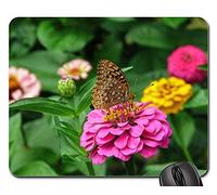Tapete De Juego, Zinnia Flores Naturaleza Primavera Flores Flor Mouse Pad Antideslizante Mouse Mat Professional Mousepad para Oficina Oficina 25X30Cm