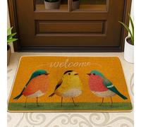 Tapete de puerta con diseño de pájaros, hierba de temporada, primavera, naranja, antideslizante, para casa, oficina, exterior, interior, entrada, decoración, 73 x 43 cm
