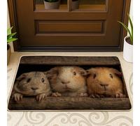Tapete de puerta de conejillo de indias, lindo felpudo estilo pueblo de animales para entrada al aire libre e interior, decoración de temporada, antideslizante, impermeable, absorbente de polvo, fácil