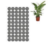 Tapete de rejilla inferior para macetas, junta de drenaje de plantas, red de drenaje para macetas de bonsái, agujero de drenaje para evitar la pérdida de suelo