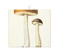 Tapete de secado de platos de hongos comestibles, almohadilla de secado de microfibra absorbente para encimera de cocina, 16 x 18 pulgadas