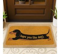Tapete para puerta con diseño de perro salchicha, diseño de patas, sin amarillo, antideslizante, para casa, oficina, exterior, interior, entrada, decoración, 73 x 43 cm