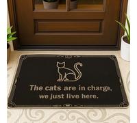 Tapete para puerta de gato, moderno, con texto divertido, no negro, lavable, de perfil bajo, para casa, oficina, exterior, interior, entrada, decoración, 73 x 43 cm