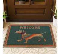 Tapete para puerta de perro, casual, con rayas de bienvenida, color verde azulado, antideslizante, atrapasuciedad, para casa, oficina, exterior, interior, entrada, decoración, 73 x 43 cm