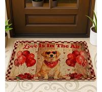 Tapete para puerta de perro, diseño de corazones rústicos de San Valentín, color rojo, lavable, perfil bajo, para casa, oficina, exterior, interior, entrada, decoración, 73 x 43 cm