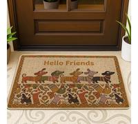 Tapete para puerta de perros, diseño de rayas juguetonas y fantasías, flores, no marrón, antideslizante, atrapasuciedad, para decoración de suelo, puerta delantera, entrada, patio, 29 x 17 pulgadas