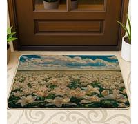 Tapete para puerta delantera con diseño de lirio de primavera, color negro, 29 x 17 pulgadas, antideslizante, diseño de paisaje floral, para patio, garaje, zapatos fuera de la puerta