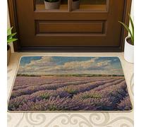 Tapete para puerta delantera de flores de lavanda de primavera, color negro, 29 x 17 pulgadas, tapete ultradelgado para exteriores, diseño de paisaje floral y paisaje, para patio