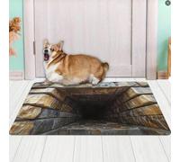 Tapete para puerta delantera para interiores y exteriores, ilusión óptica 3D, para todo tipo de clima, ilusión óptica, alfombra 3D, fácil de limpiar