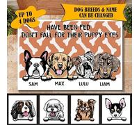 Tapete para Puerta Divertidos Alfombra Puerta Antideslizante Felpudo De Entrada para Jardín Pasillo Trasera Delantera 40X60Cm No Te Dejes Engañar por Los Perros con Ojos De Cachorro