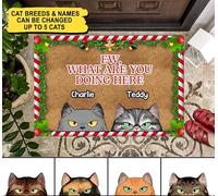 Tapete para Puerta Suave Alfombra De Baño Fácil De Limpiar Felpudo De Entrada para Cocina Jardín Interior 40X60Cm ¡Qué Asco! ¿Qué Haces Aquí, Gato?