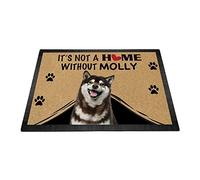 Tapete personalizado Shiba Inu Dog Felpudo decorativo para el suelo de bienvenida de perro It's Not a Home without Dog Welcome Alfombra decorativa de 23.6 x 15.7 pulgadas