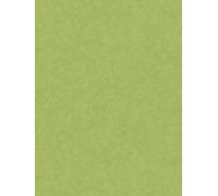 Tapete Vellón Con Aspecto Hormigón Verde Limón 530 Mm 10050 Mm