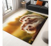 Tapetes de área 100 x 160 cm, Alfombras Pelo Corto Pradera Al Atardecer Animal Erizo, Alfombra Antideslizante Fotografía Natural para Dormitorio Habitación de Niños Comedor Decoración del Hogar
