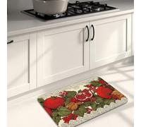 Tapetes de cocina de frutas para piso, tapetes suaves con patrón de granada roja vintage, acolchados, cómodos, lavables, antideslizantes, para fregaderos de cocina, lavandería, baño, 16 x 24 pulgadas