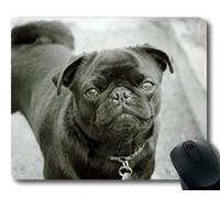 Tapetes para Juego, Boston Terrier Puppy Dog Funny vodafone Dog, Precisión de Costura, Durable Alfombrilla de ratón