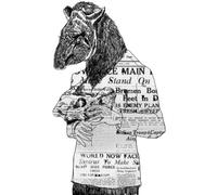 Tapirus - from The Rough Ends [Vinilo]