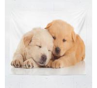 Tapiz 150x200 cm Golden Retriever Tapiz Decorativo Pared Animales y Mascotas Adorables Impreso 3D Decoracion Pared Tapices para Tapestry Decoración para Dormitorio Sala A1211