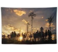 Tapiz 200x300 cm Árboles Tapiz Decorativo Pared Grande Atardeceres Impreso 3D Decoracion Pared Tapices para Tapestry Decoración para Dormitorio Sala b1511
