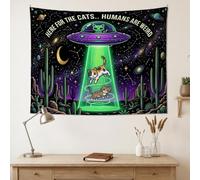 Tapiz gracioso con cita de extraterrestre de gato, 101,6 x 76,2 cm | Escena de secuestro de nave espacial, tapiz para colgar en la pared, paisaje de plantas del desierto